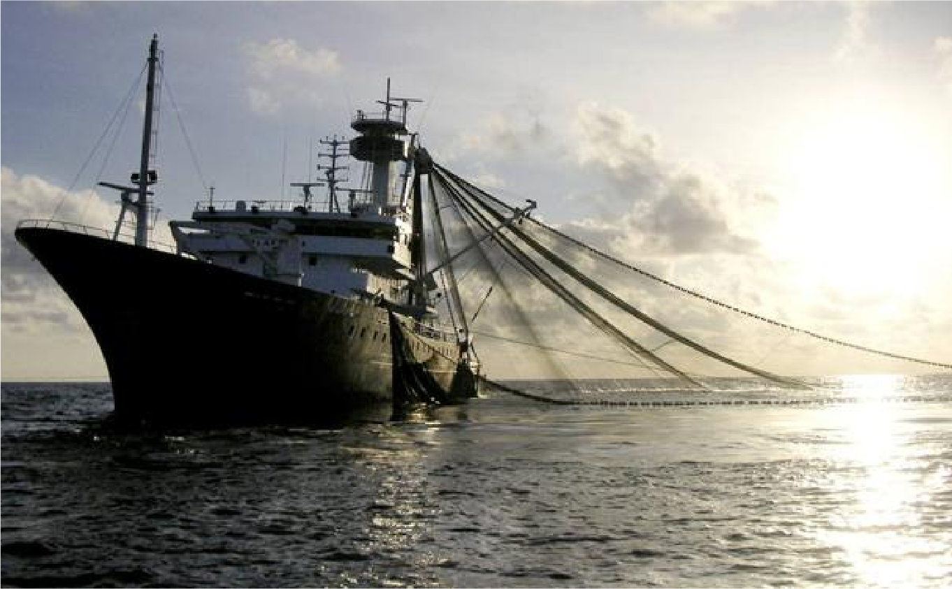 Pesca - Myrsac